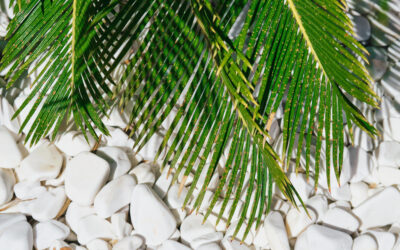 5 Landscaping Upgrades That Add Value to Your Jupiter Home
