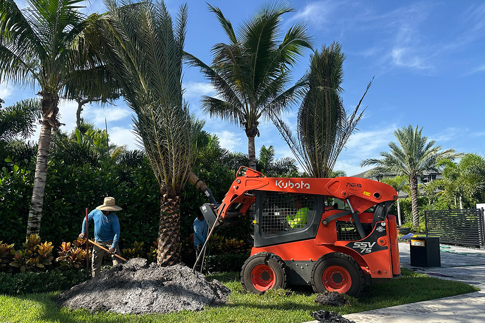 LandscapeDesignMaintenace Natural Bloom Landscape