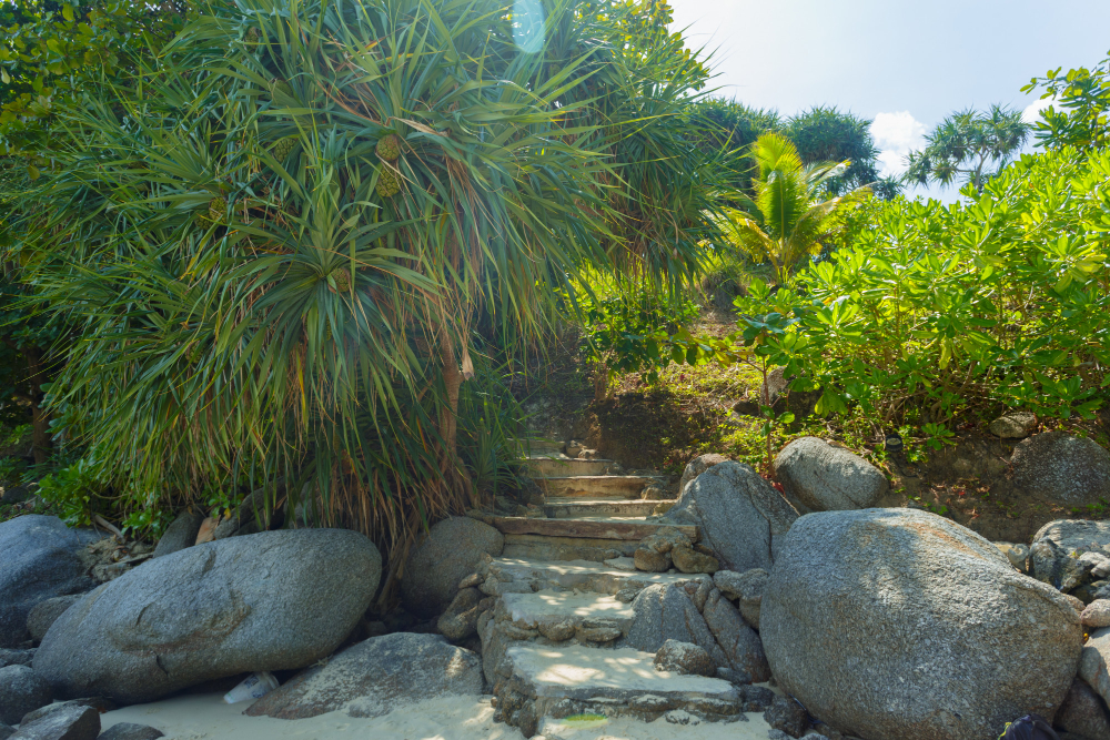 Rock Gardens & Pathways Natural Bloom Landscape